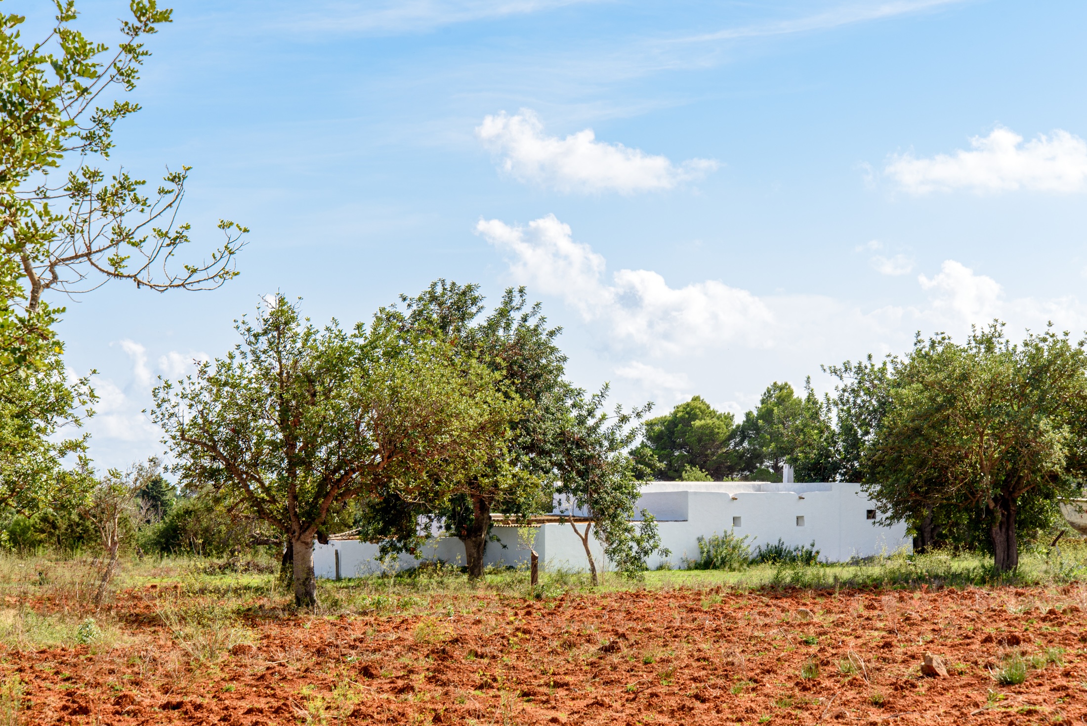 WEB RES-plotesnovells-2.jpg